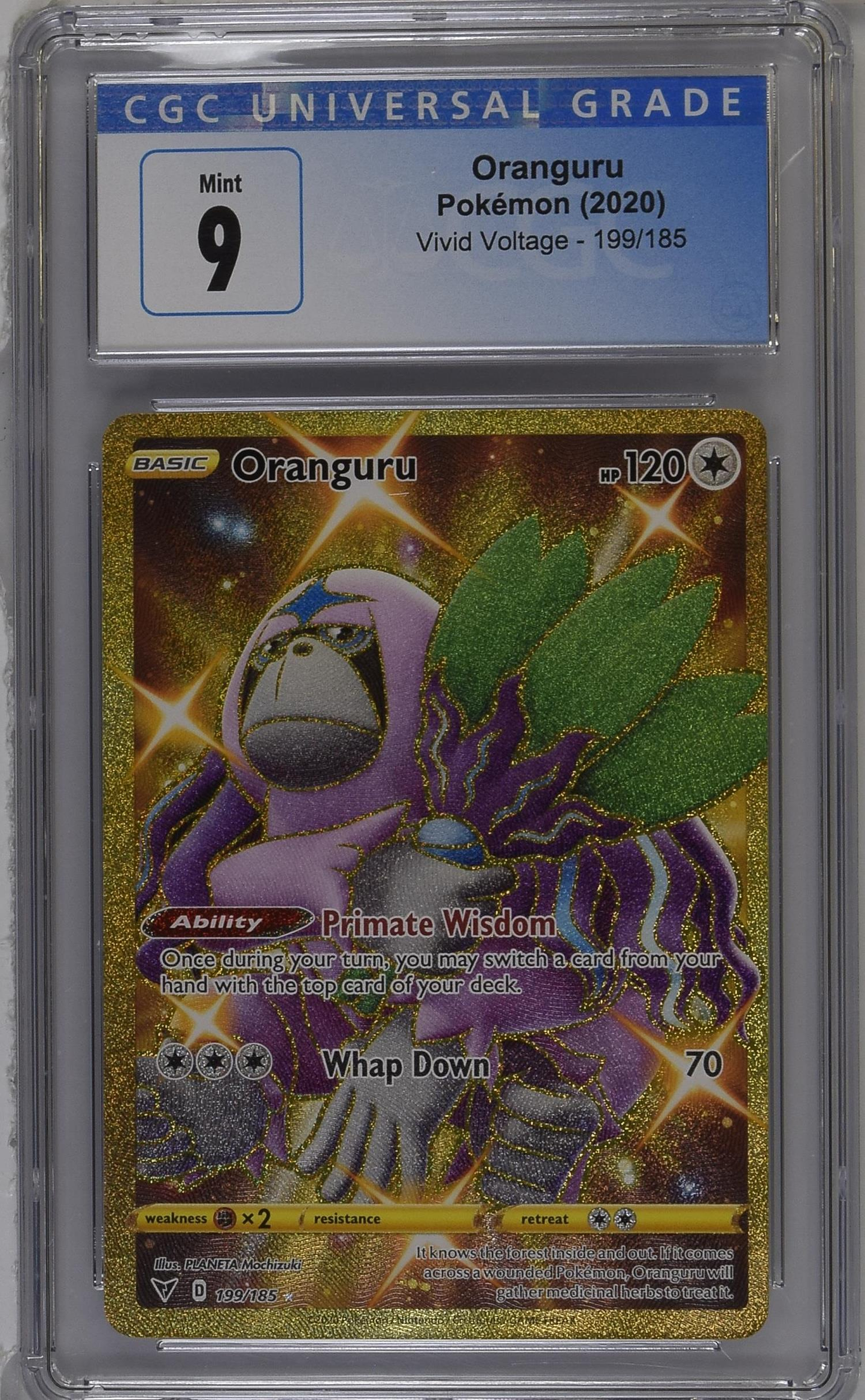 Oranguru Pokémon (2020) Vivid Voltage - 199/185 - CGC 9